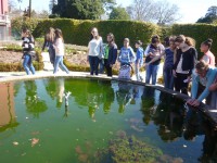 /album/o-ambiente-natural-como-laboratorio/lago-no-roseiral-jpg/